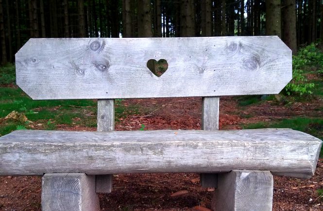 Ein graues, grob gezimmertes Bankerl beim Baumkronen-Weg in Kopfing. Es hat in der Mitte ein hübsches Herz.