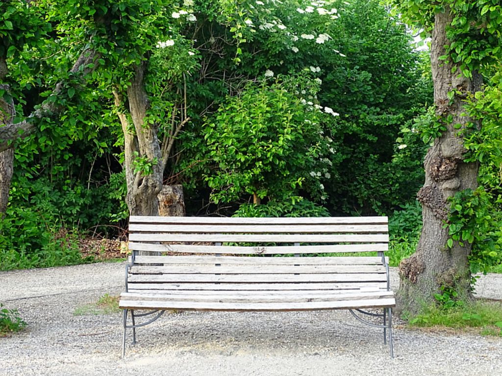 Eine alte verwitterte Holzbank, im Hintergrund alte knorrige Bäume und Holler