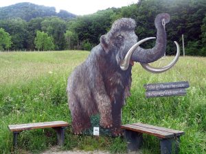 Ein großes Mammut-Form steht mitten in der Wiese zwischen zwei Bänken.