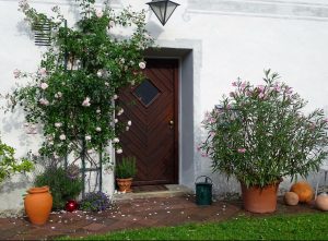 Eine weiße Hauswand mit Mustern bemalt, eine Eingangstür. Ein Oleander und ein Rosenstock stehen jeweils neben der Tür und auch viele Terracotta-Töpfe.