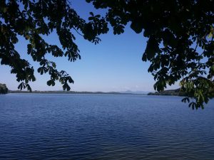 Im Vordergrund ist der Waginger See, ein wunderschönes Blau und Äste hängen vom Baum unter dem ich sitze.  In der Ferne ist der Untersberg.