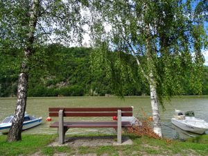 Eine Bank an der Donau zwischen zwei Birken und Booten an der Donau - bei Aschach