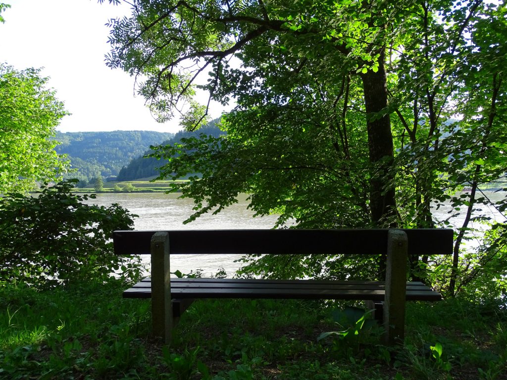 Eine Bank an der Donau im Grünen. Dahinter sieht man die Schlinge und das Tal der Donau