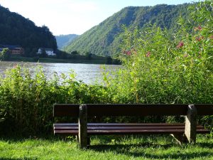 Eine Bank an der Donau gegenüber der Schlinge