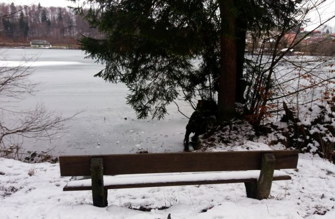 Höglwörth See - Bank am zugefrorenen See