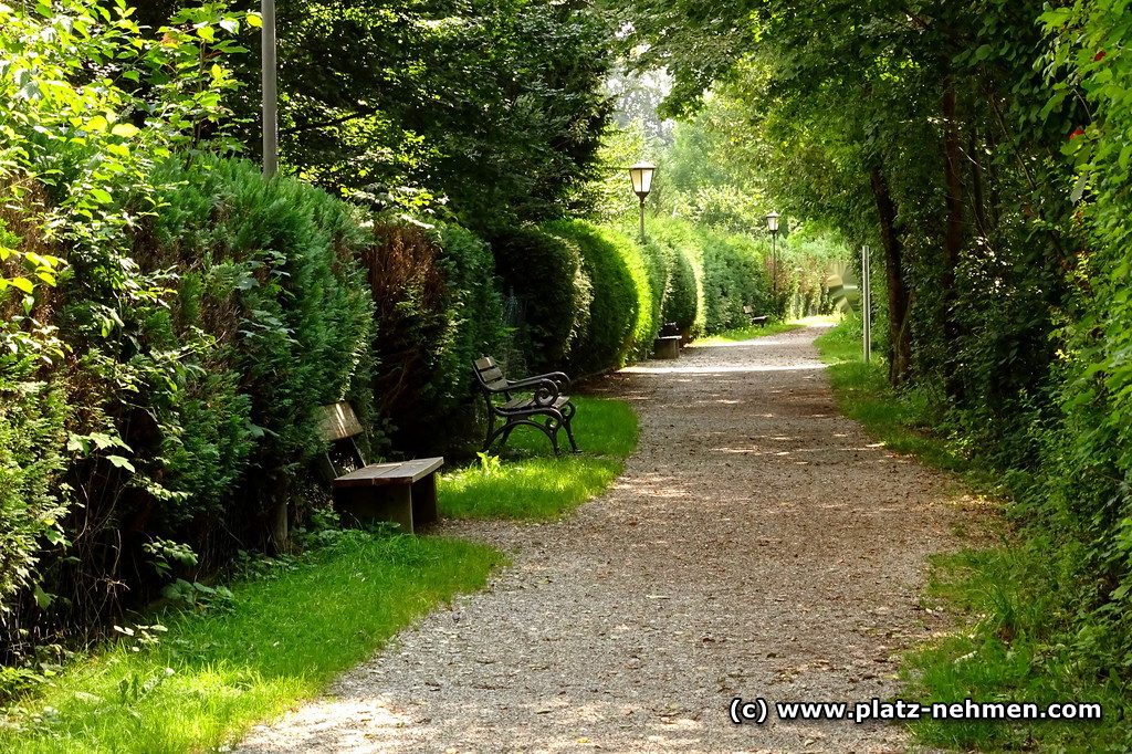 Ein Kiesweg führt geradeaus, links davon an der Hecke stehen in Abständen Bänke