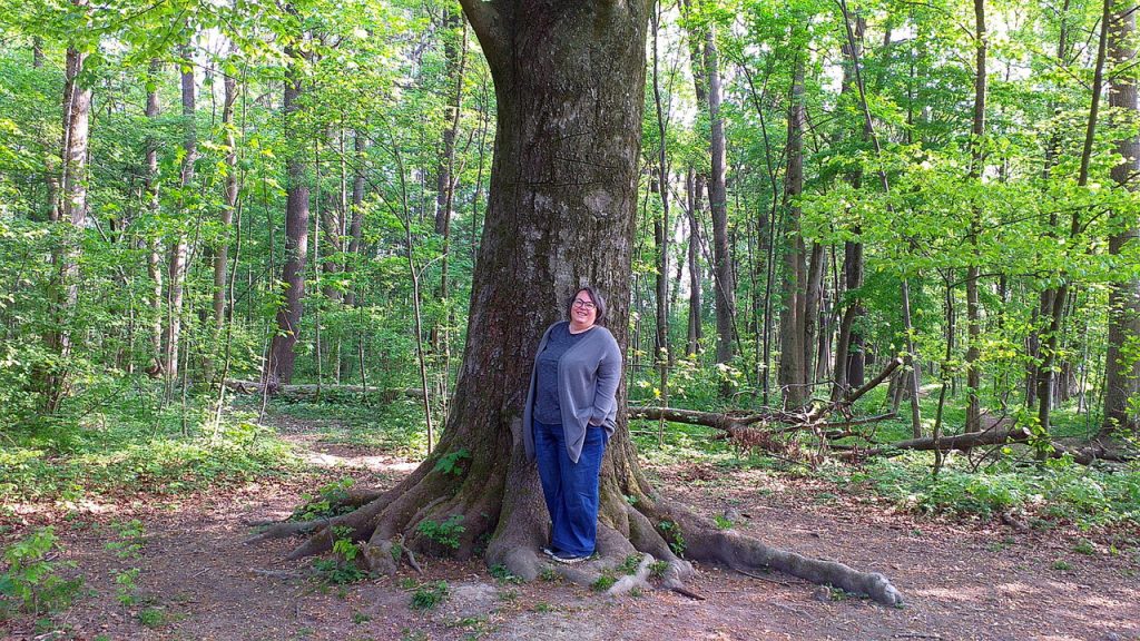 Ich stehe vor einem großen alten Baum im Auwald an der Altglan