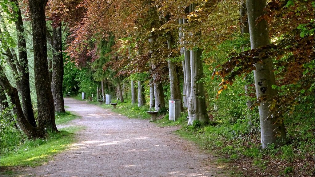 Ein Stück des Spazierweges am Karlsbader Weiher mit Bänken im gleichmäßigem Abstand