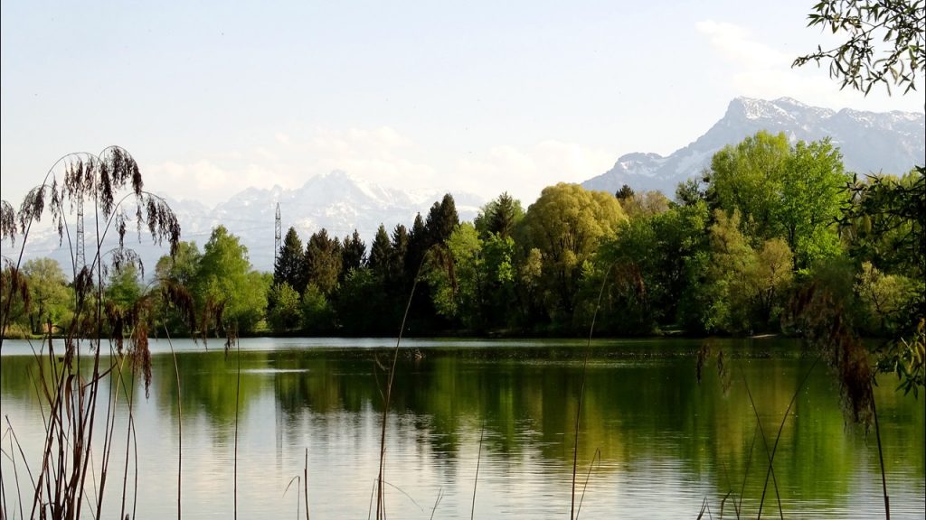 Blick vom Ostufer des Salzachsees auf den Untersberg und das Tennengebirge