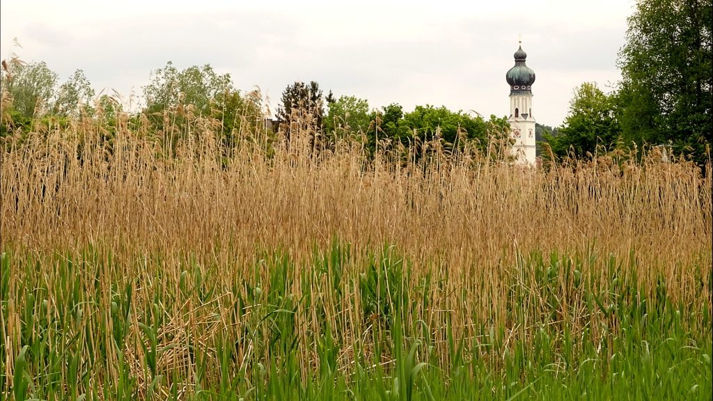 Blick auf den Kirchturm von Obertrum