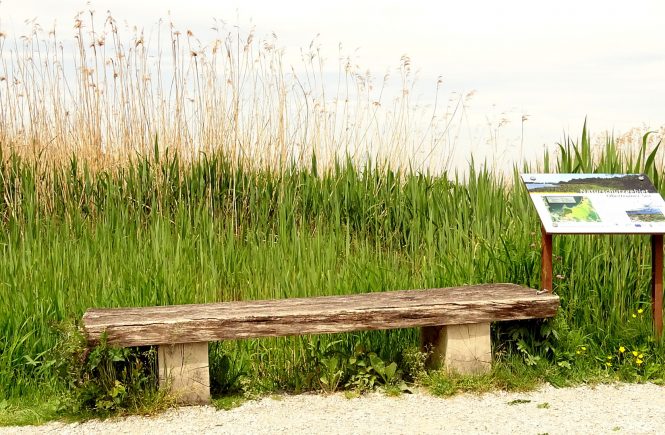 Rustikale Bank neben der Informationstafel zum Naturerlebnisweg