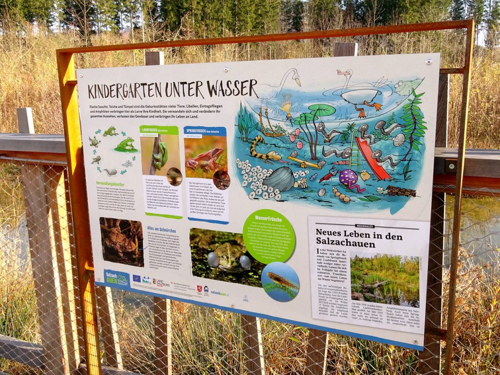 Schautafel "Kindergarten unter Wasser" am Auwaldsee-Rundweg mit detaillierten lustigen Illustrationen