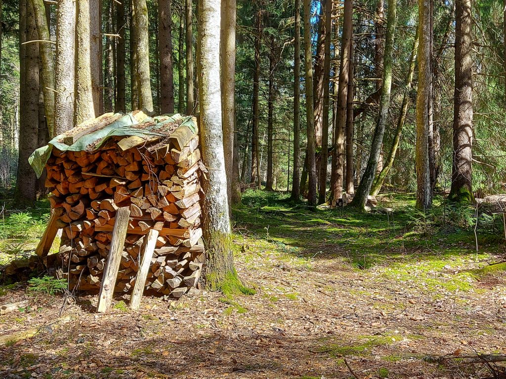 Holzstoss am Weg